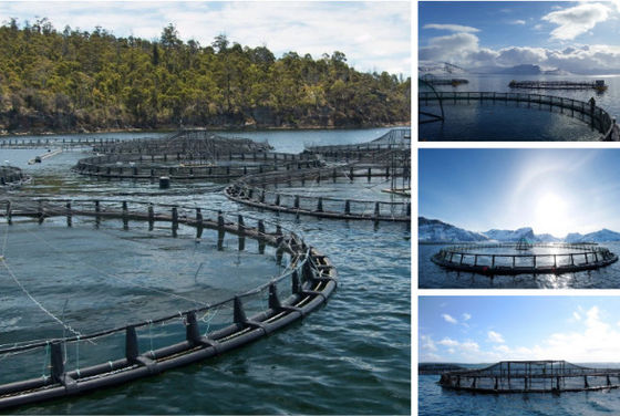 水産養殖の純HDPE PE100の栽培漁業のおり30-160mの周囲